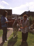 Party Pony Bubbles at home